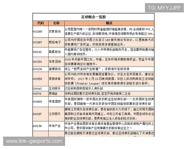 图卢兹足球俱乐部发展历程与未来战略全面解析